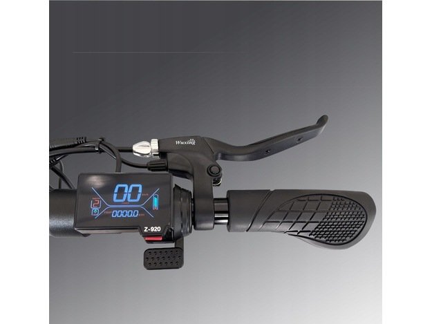 KUGOO KIRIN M4 PRO ELEKTRINIO PASPIRTUKO/ DVIRAČIO 6 kontaktų LCD Z-920 EKRANAS 48V 1